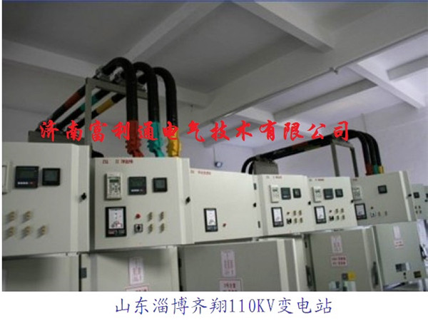 山东某化工厂-全绝缘母线(图1)