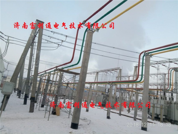 天山110KV变电站-全绝缘母线(图1)