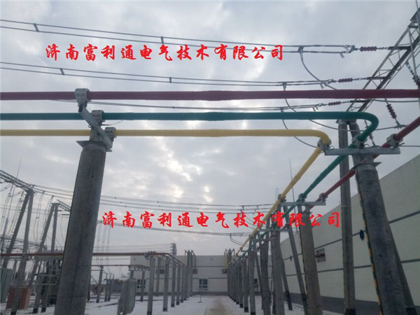 天山110KV变电站-全绝缘母线(图3)