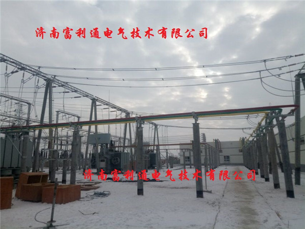 天山110KV变电站-全绝缘母线(图6)