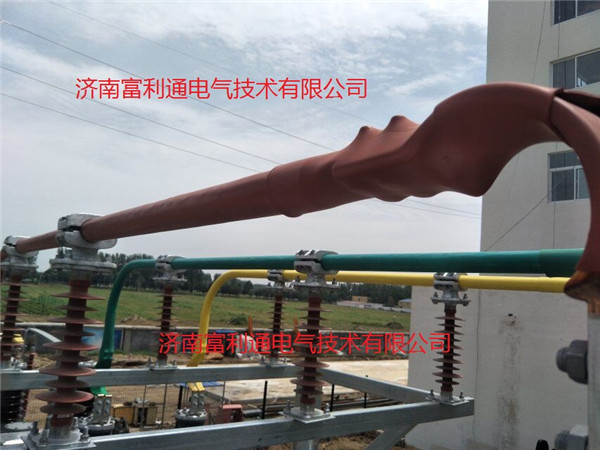 河南新源热电-35kv、10KV全绝缘(图3)