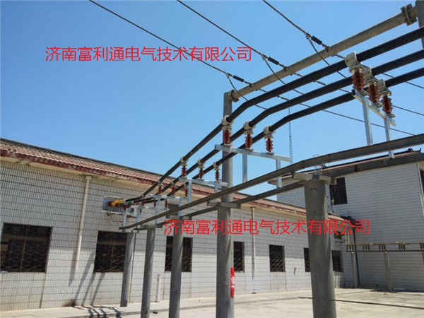 国网南郊沙土变电站-绝缘铜管母线3150A(图1)