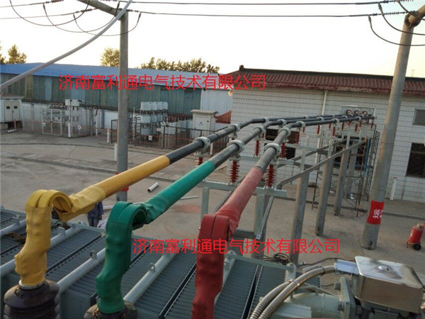 国网南郊沙土变电站-绝缘铜管母线3150A(图3)