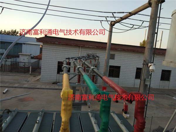 国网南郊沙土变电站-绝缘铜管母线3150A(图2)