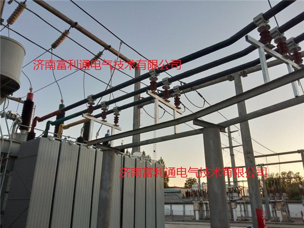 国网南郊沙土变电站-绝缘铜管母线3150A(图7)