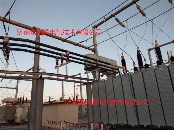 国网南郊沙土变电站-绝缘铜管母线3150A(图6)
